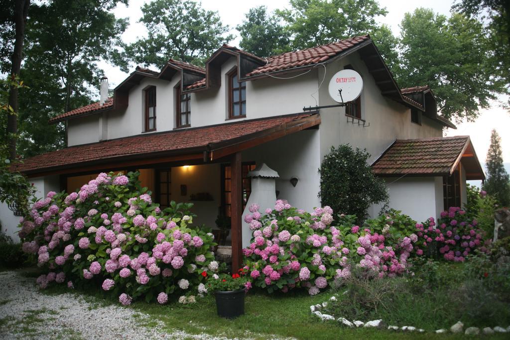 Beta Home Sapanca Δωμάτιο φωτογραφία